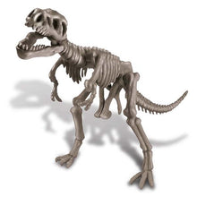 Load image into Gallery viewer, 4M Bundle Set Kidzlabs Tyrannosaurus Rex Skeleton &amp; Flashing Emergency Light
