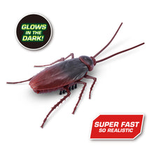 Load image into Gallery viewer, Zuru Robo Alive Glow In The Dark Crawling Cockroach
