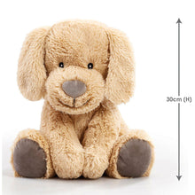 Load image into Gallery viewer, Addo Snuggle Buddies 32cm Friendship Dog
