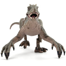 Load image into Gallery viewer, WJ Tech Remote Control Roaring Raptor Grey Dinosaur
