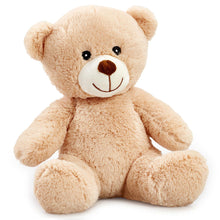 Load image into Gallery viewer, Addo Snuggle Buddies 25cm My First Bear
