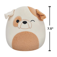 Load image into Gallery viewer, Squishmallows 7.5 Inch PLUSH Brock The Winking Bulldog
