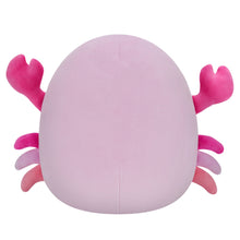 Load image into Gallery viewer, Squishmallows 7.5 Inch PLUSH Cailey The Crab With Starfish
