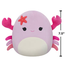 Load image into Gallery viewer, Squishmallows 7.5 Inch PLUSH Cailey The Crab With Starfish
