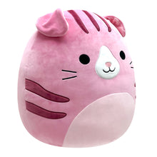 Load image into Gallery viewer, Squishmallows 16 Inch PLUSH Geraldine The Pink Scottish Fold Cat
