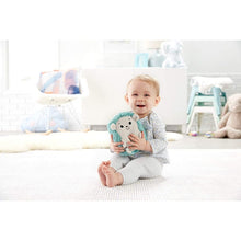 Load image into Gallery viewer, Fisher Price Newborn Calming Vibes Hedgehog Soother
