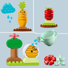 Load image into Gallery viewer, LEGO Duplo My First Organic Garden
