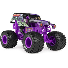 Load image into Gallery viewer, Monster Jam 1:24 Monster Truck Die Cast Vehicle Assorted
